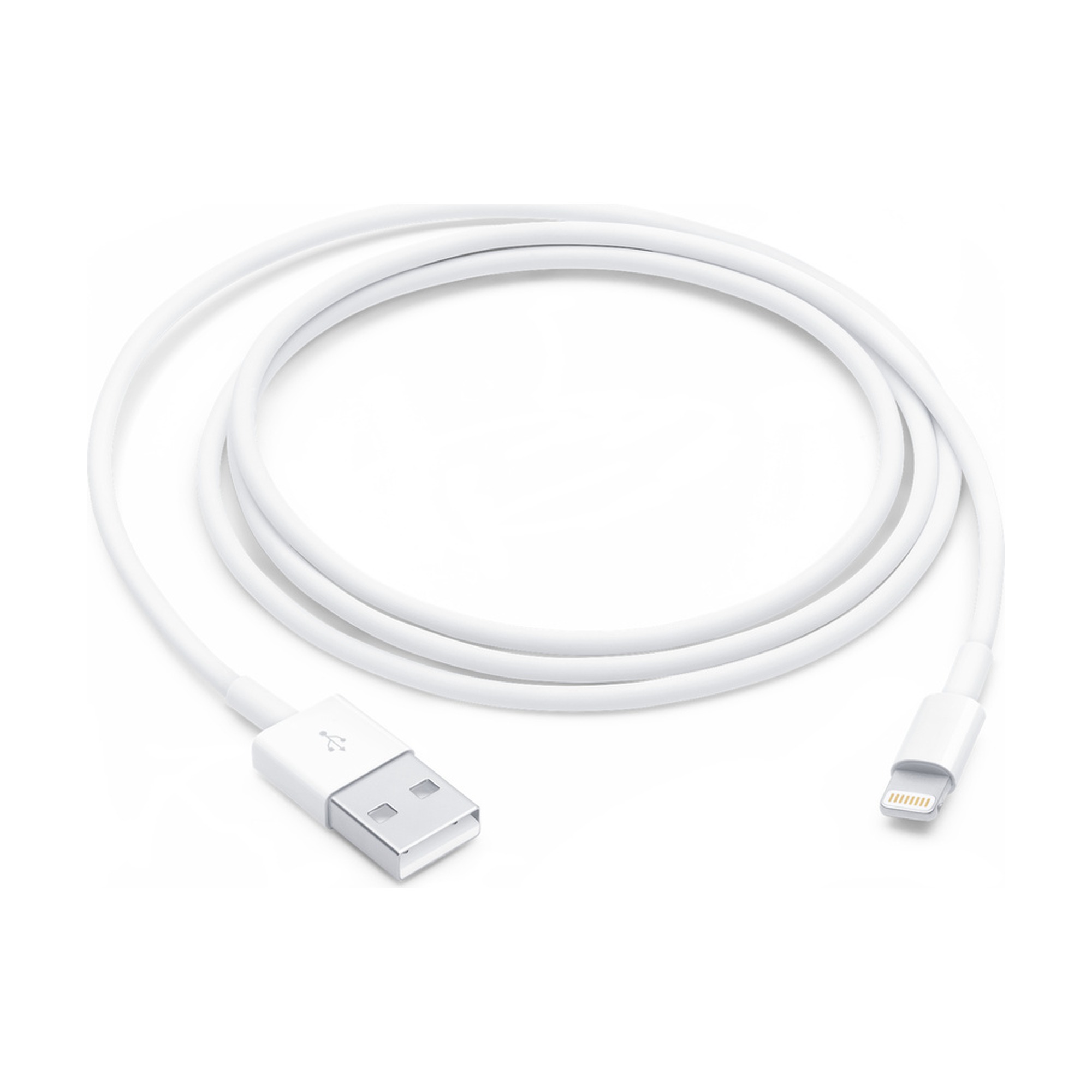Apple Lightning to USB Cable (1m)